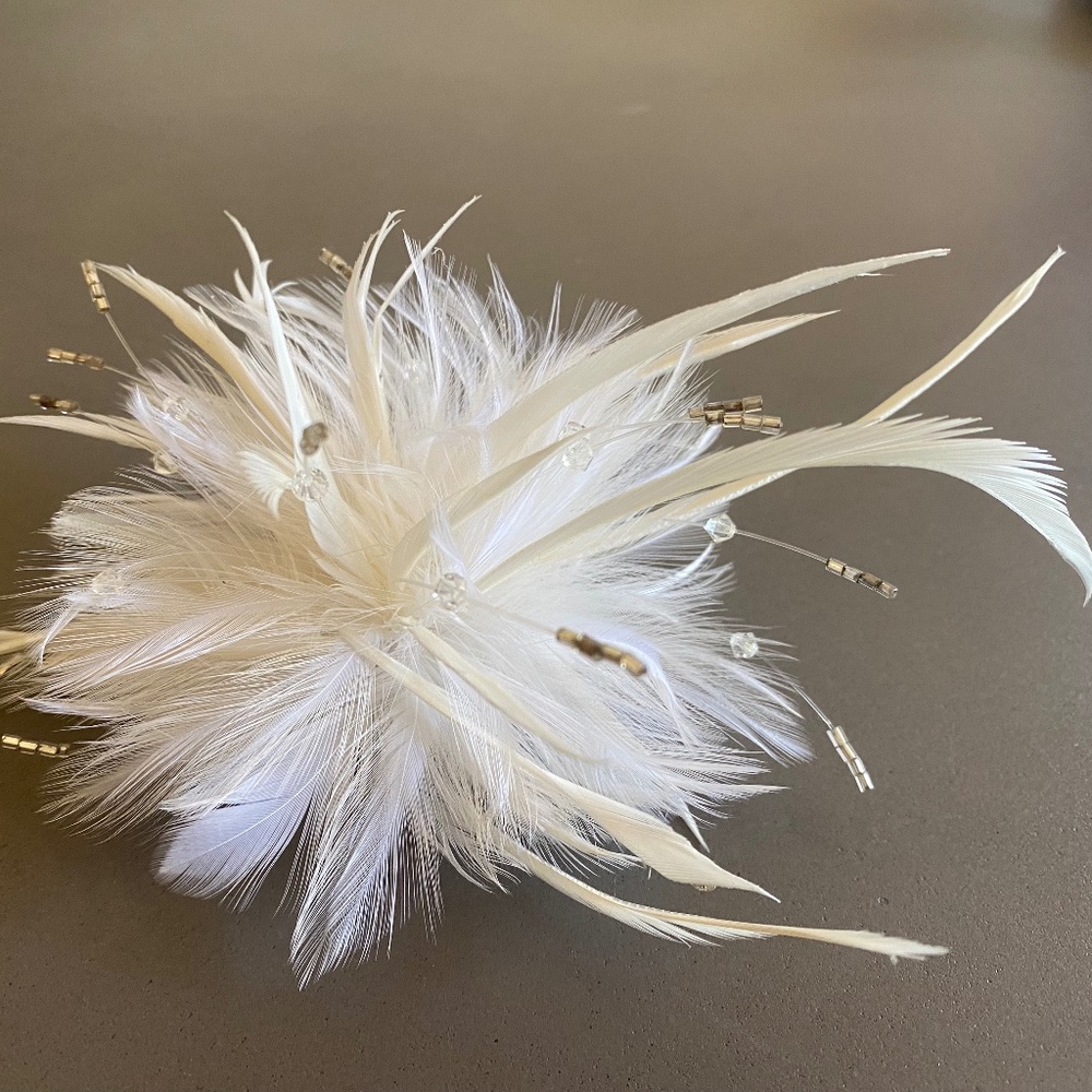 Gorgeous Feather Hair Piece